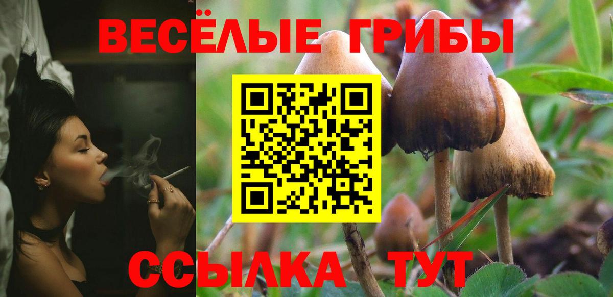Галлюциногенные грибы мухоморы Жигулёвск