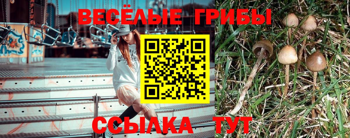 Псилоцибиновые грибы Cubensis  Галлюциногенные грибы GOLDEN TEACHER  Вход с VPN  Жигулёвск 